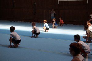 IMG 0255
